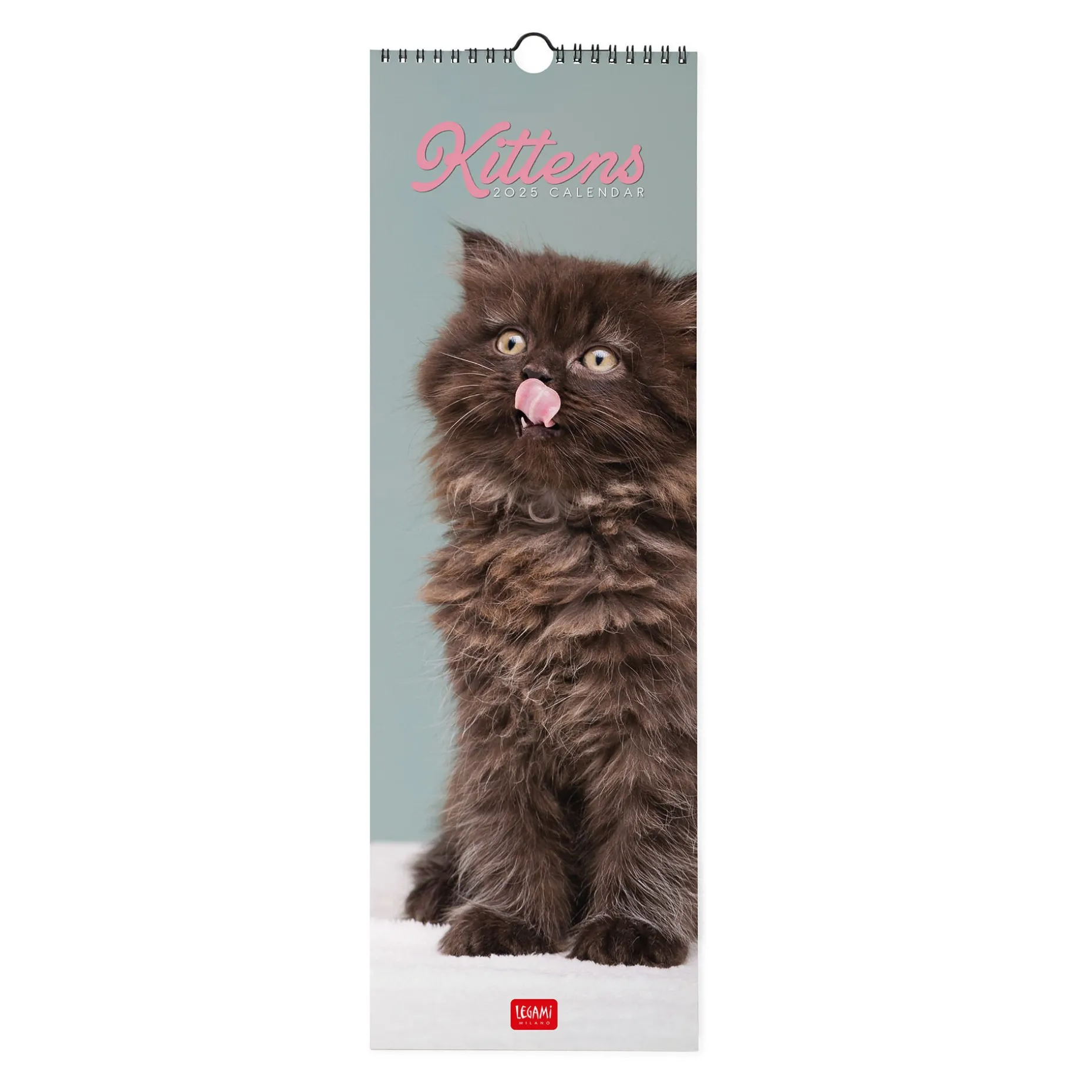 Calendrier Mural 2025 - 16 x 49 cm