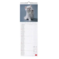 Calendrier Mural 2025 - 16 x 49 cm