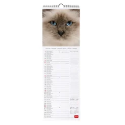Calendrier Mural 2025 - 16 x 49 cm