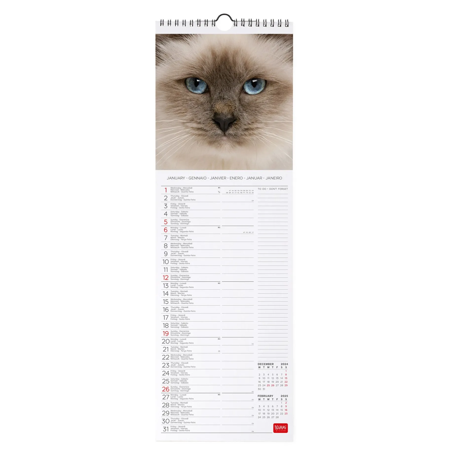 Calendrier Mural 2025 - 16 x 49 cm