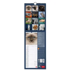 Calendrier Mural 2025 - 16 x 49 cm