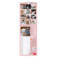 Calendrier Mural 2025 - 16 x 49 cm