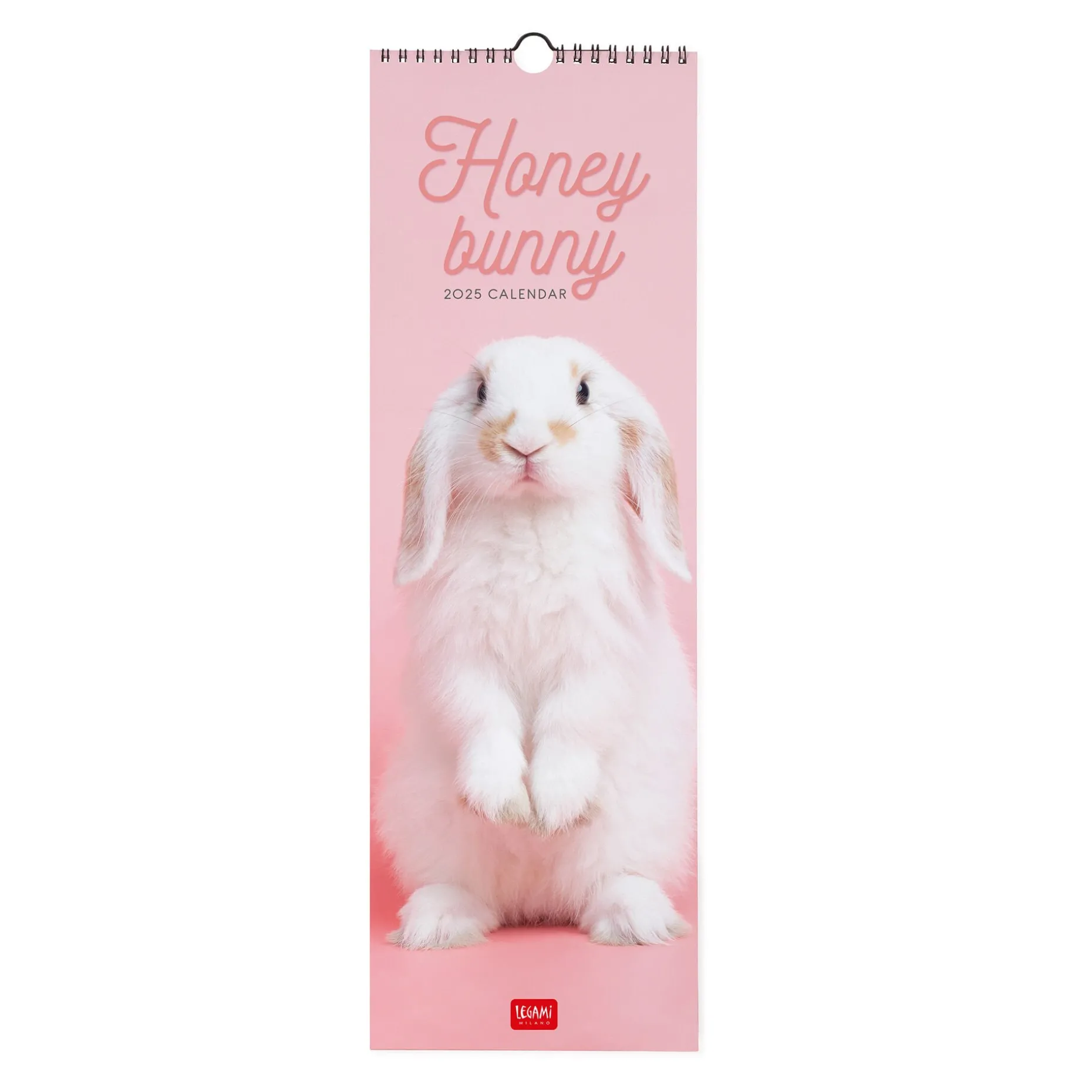 Calendrier Mural 2025 - 16 x 49 cm