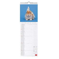 Calendrier Mural 2025 - 16 x 49 cm