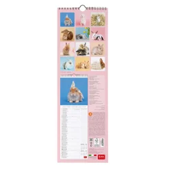 Calendrier Mural 2025 - 16 x 49 cm