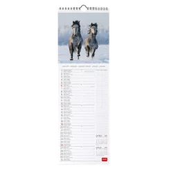 Calendrier Mural 2025 - 16 x 49 cm