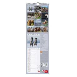 Calendrier Mural 2025 - 16 x 49 cm