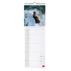 Calendrier Mural 2025 - 16 x 49 cm