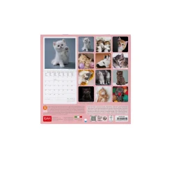 Calendrier Mural 2025 - 18 x 18 cm