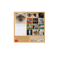 Calendrier Mural 2025 - 18 x 18 cm