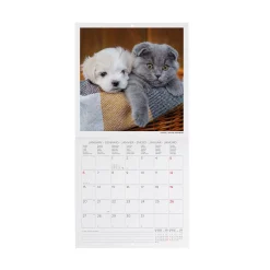 Calendrier Mural 2025 - 18 x 18 cm