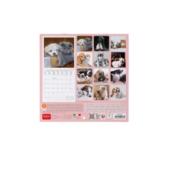 Calendrier Mural 2025 - 18 x 18 cm