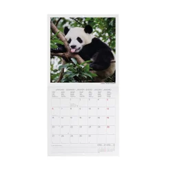 Calendrier Mural 2025 - 18 x 18 cm