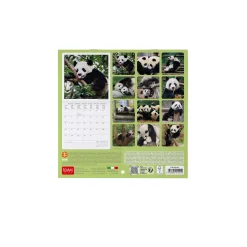 Calendrier Mural 2025 - 18 x 18 cm