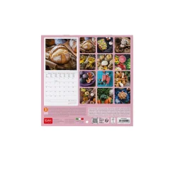 Calendrier Mural 2025 - 18 x 18 cm