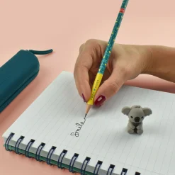 Crayon avec Gomme