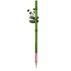 Crayon avec Gomme