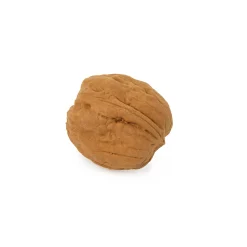Gomme Maxi - Walnut Eraser