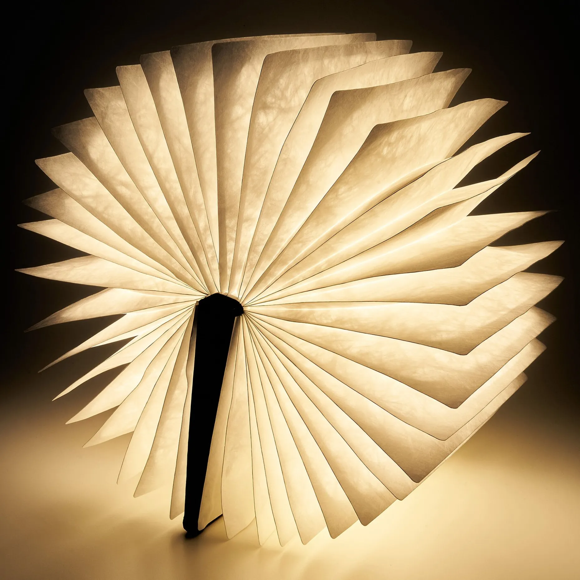 Livre Lumineux Large - Light Book