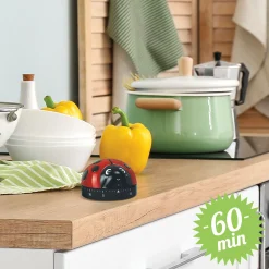 Minuteur de Cuisson