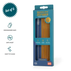 Pailles en Acier Inox