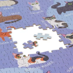 Puzzle de 1000 pièces