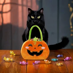 Sac pour un bonbon ou un sort - Trick or Treat