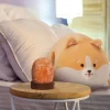 Set Coussin Corgi et Himalayan Salt Lamp