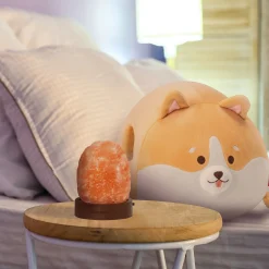 Set Coussin Corgi et Himalayan Salt Lamp